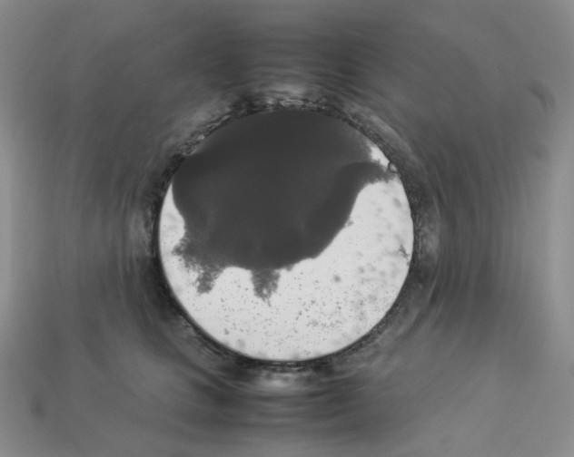 X0000112830661200910021223