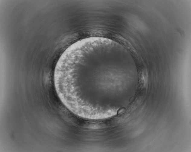 X0000112830663200910021223