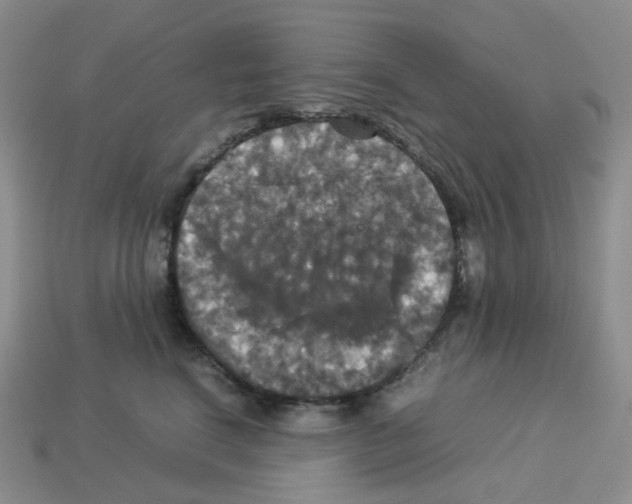 X0000112830664200910021223