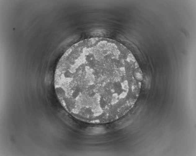 X0000112830665200910021223