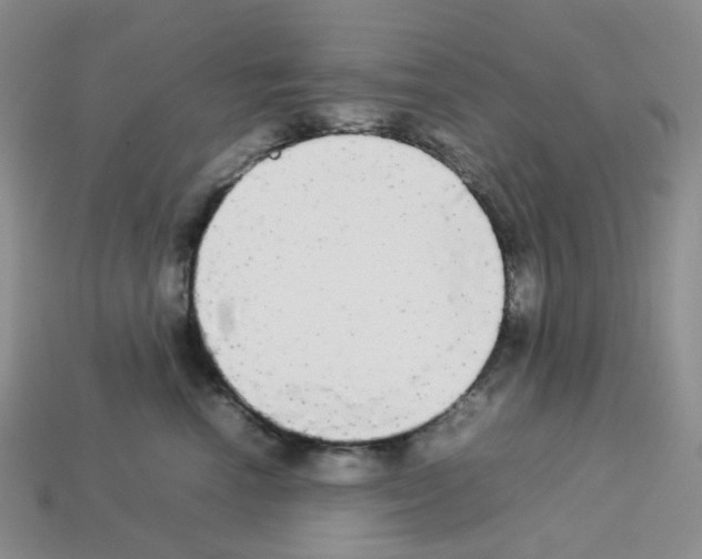 X0000112830666200910021223