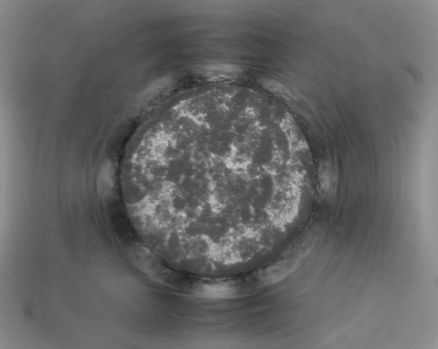 X0000112830667200910021223