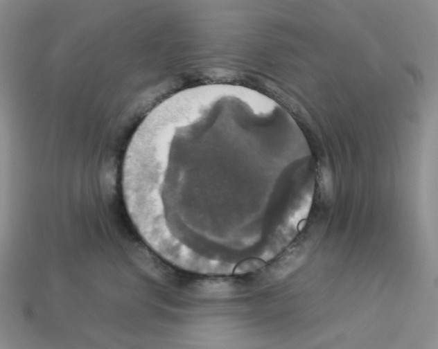 X0000112830668200910021223