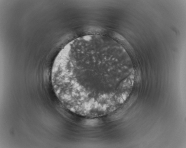 X0000112830669200910021223