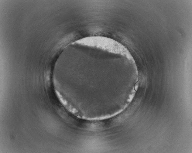 X0000112830670200910021223