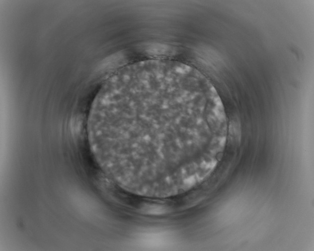 X0000112830671200910021223