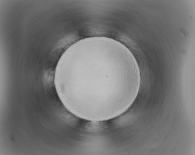 X0000112830672200910021223