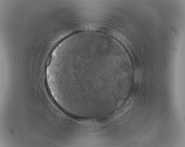 X0000112830673200910021223