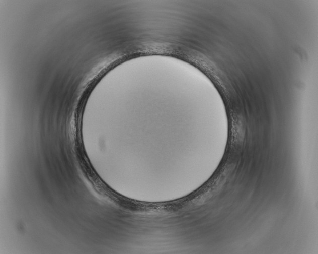 X0000112830674200910021223