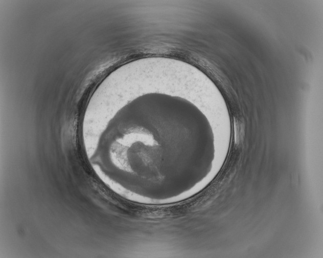 X0000112830675200910021223