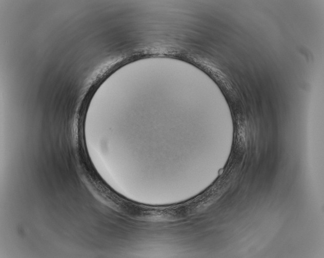 X0000112830678200910021223