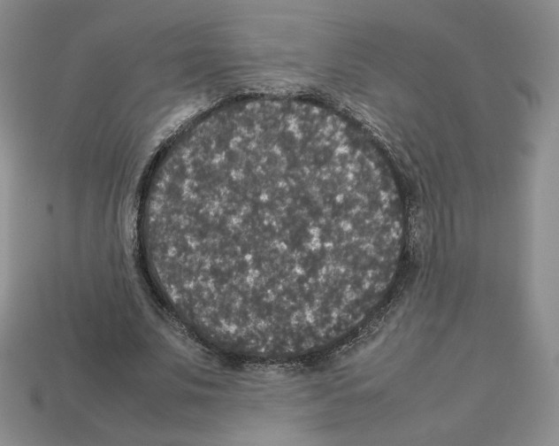 X0000112830679200910021223