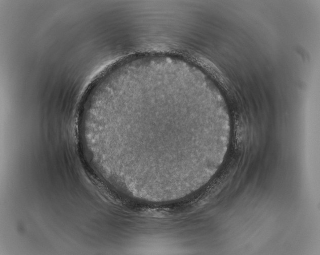 X0000112830680200910021223