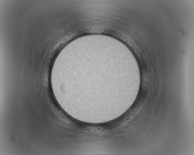 X0000112830681200910021223