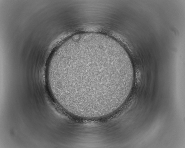 X0000112830682200910021223