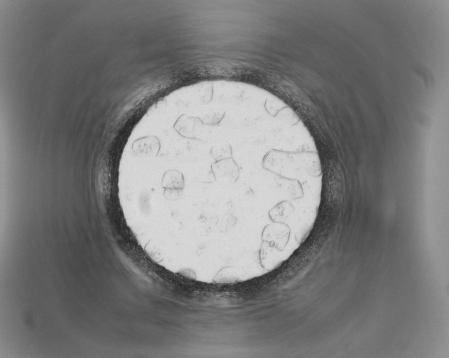 X0000112830683200910021223