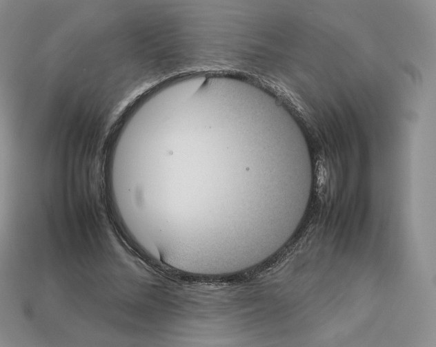 X0000112830684200910021223