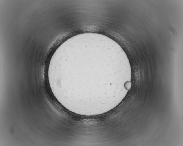 X0000112830686200910021223