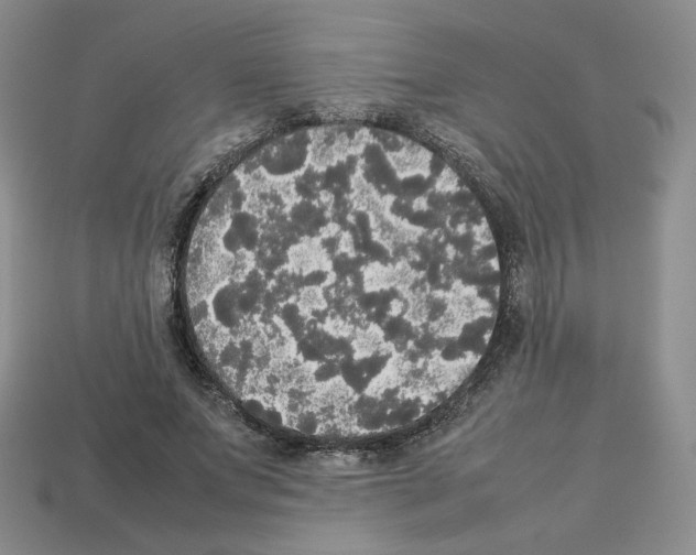 X0000112830687200910021223