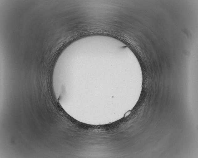 X0000112830689200910021223