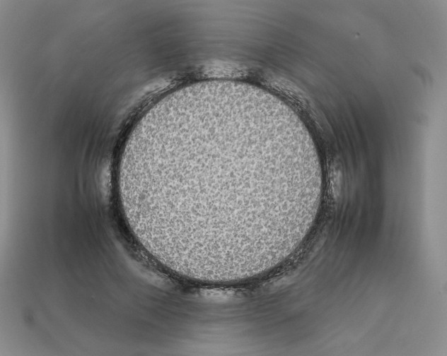 X0000112830690200910021223