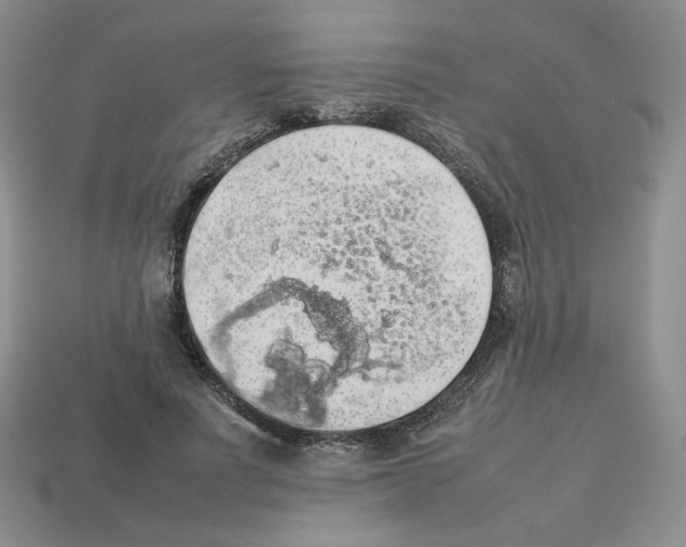 X0000112830691200910021223