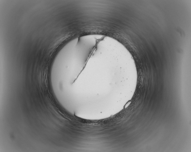 X0000112830692200910021223