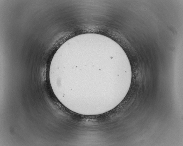 X0000112830694200910021223