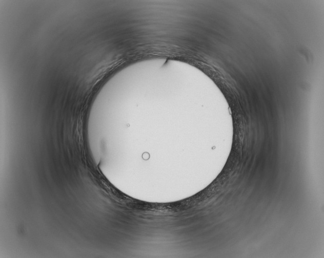 X0000112830696200910021223