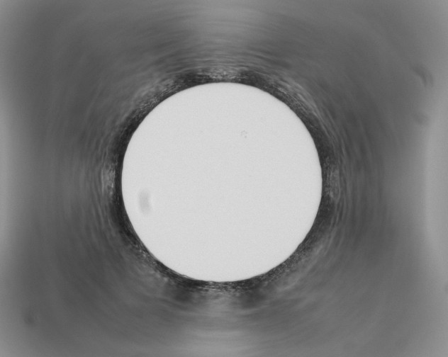 X0000112830697200910021223