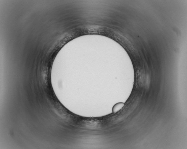 X0000112830698200910021223