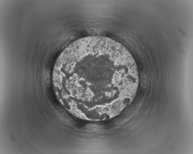 X0000112830699200910021222