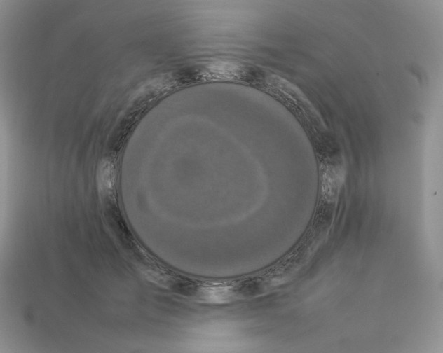 X0000112830701200910021222