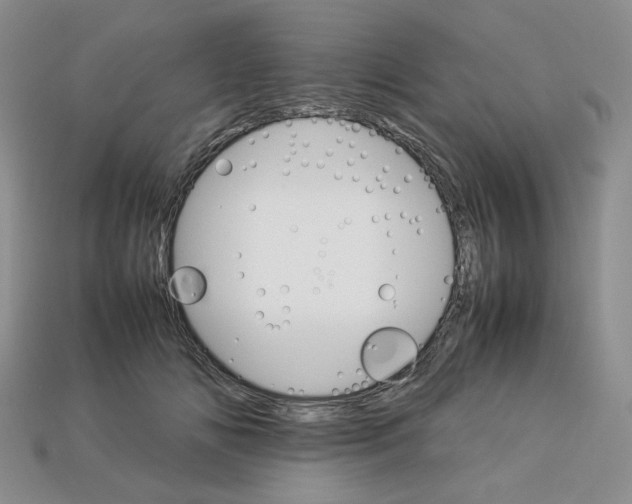 X0000112830702200910021222