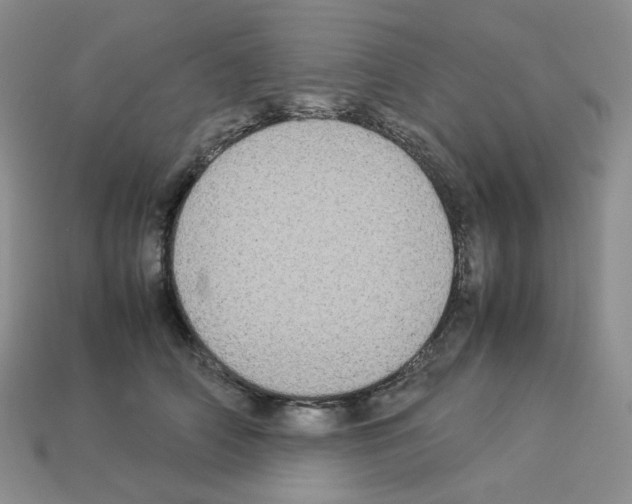 X0000112830706200910021222