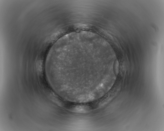 X0000112830708200910021222