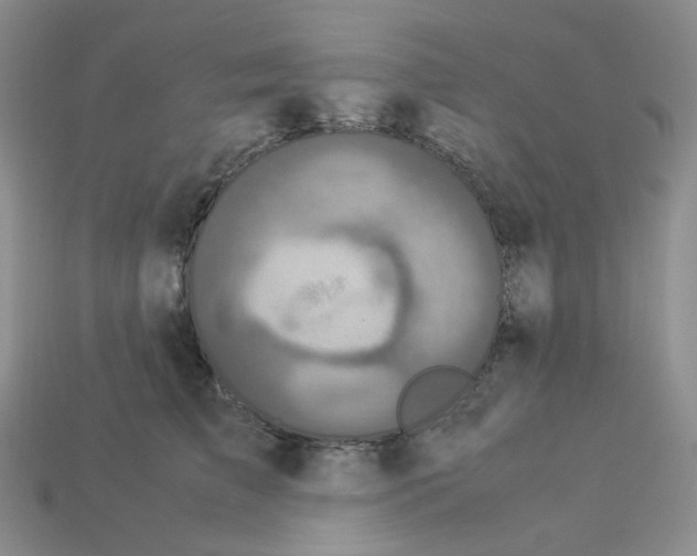 X0000112830709200910021222