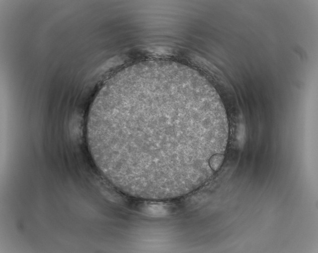 X0000112830710200910021222