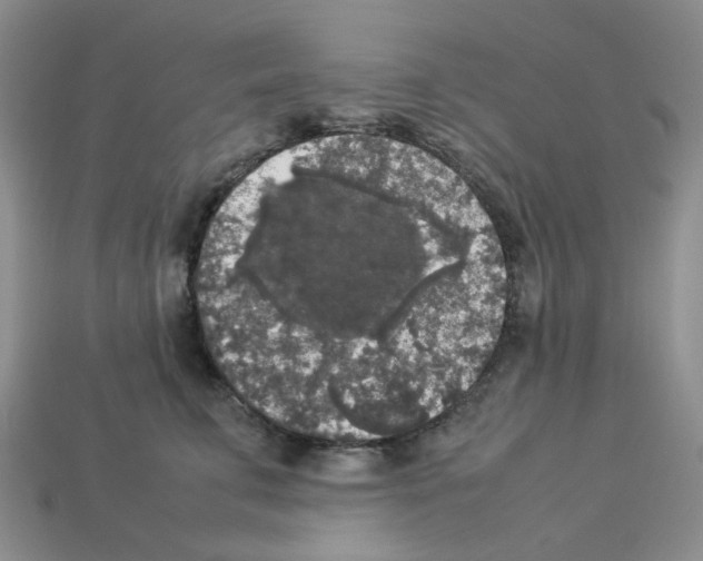 X0000112830711200910021222