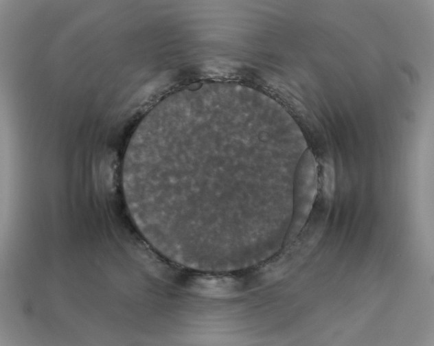 X0000112830712200910021222