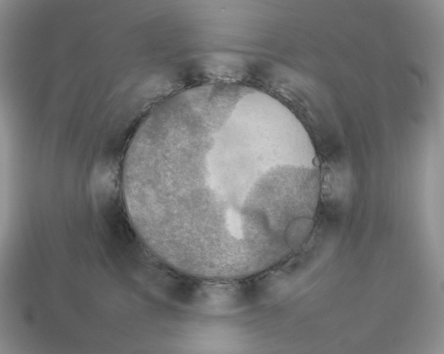 X0000112830713200910021222