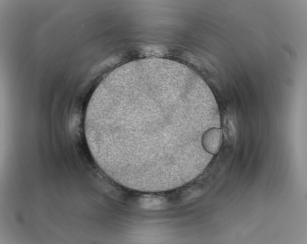 X0000112830714200910021222