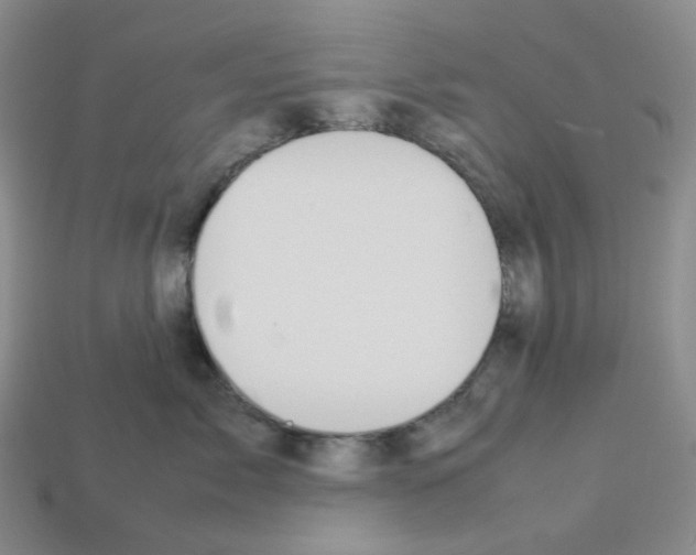 X0000112830717200910021222