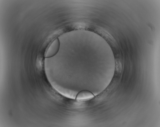 X0000112830718200910021222