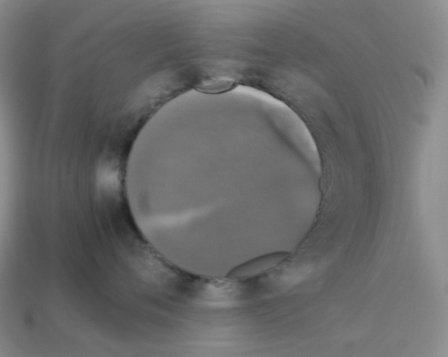 X0000112830720200910021222