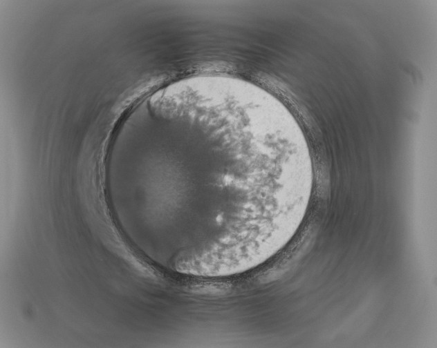 X0000112830721200910021222