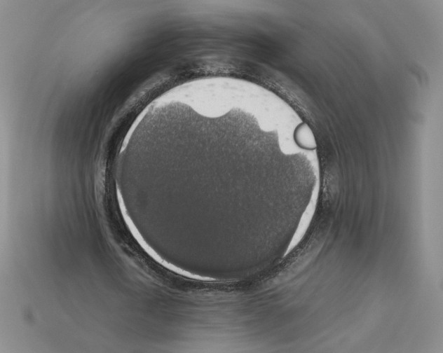 X0000112830722200910021222