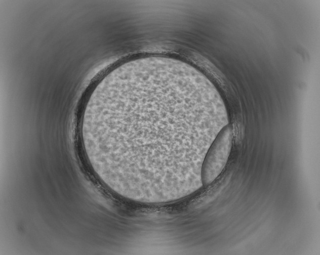 X0000112830724200910021222