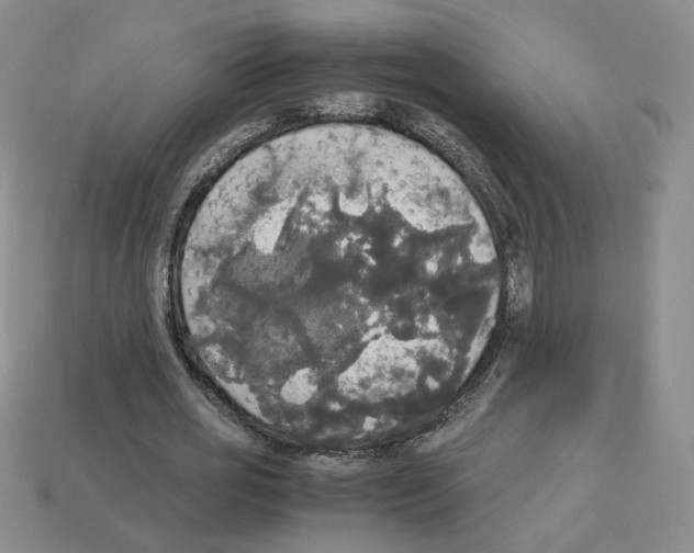 X0000112830725200910021222