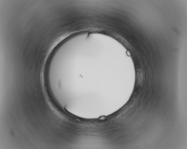 X0000112830726200910021222